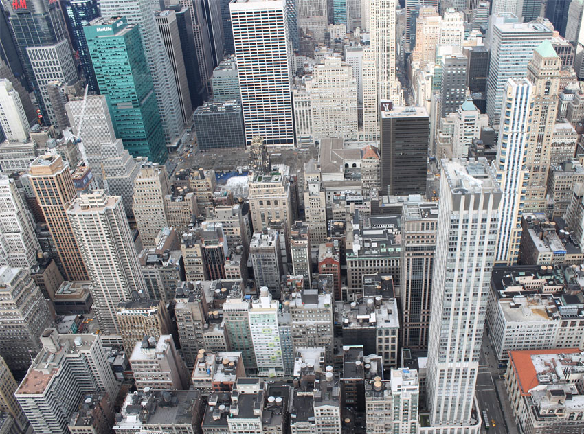 Featured-Image-New-yorker